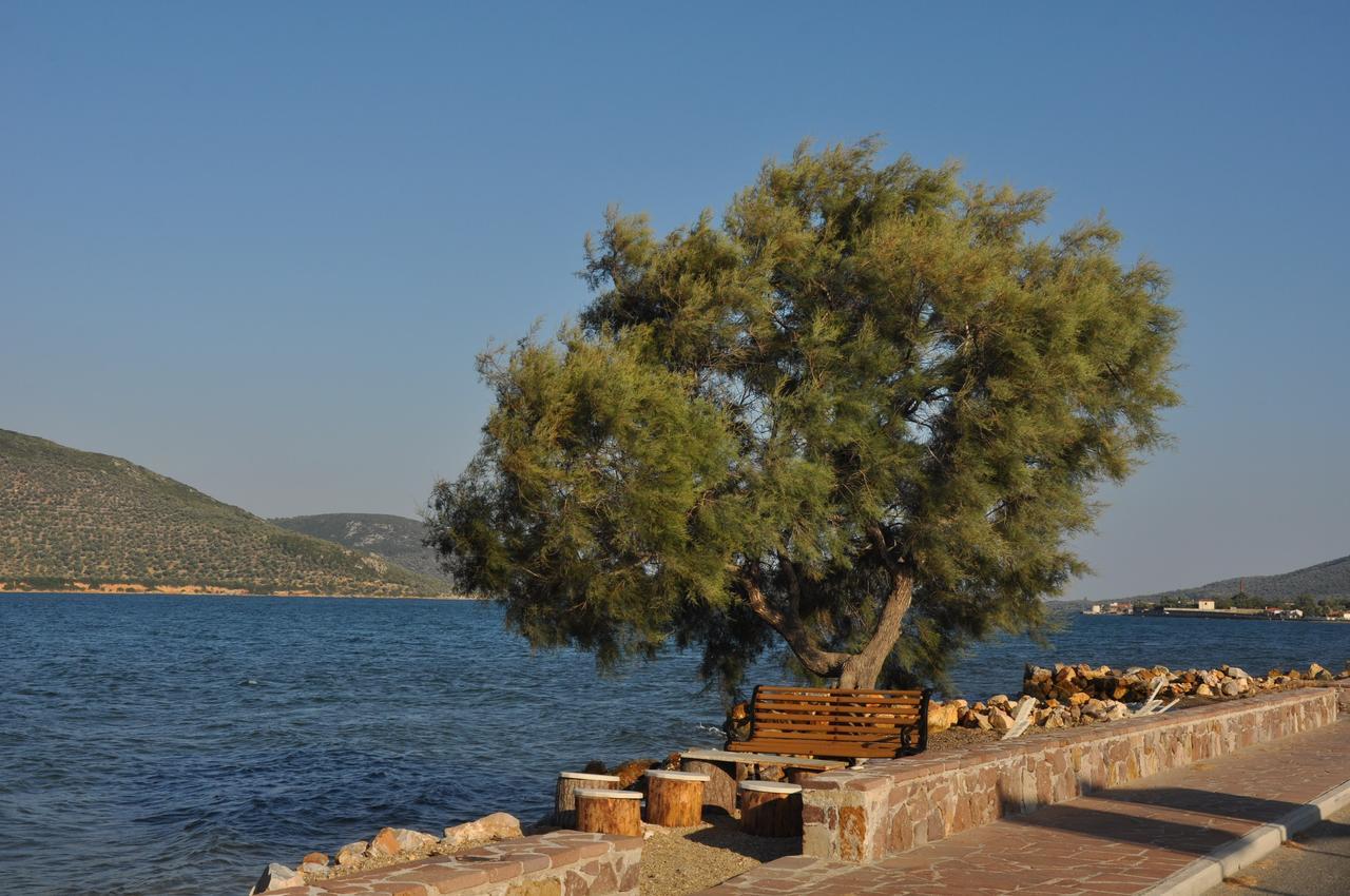 Ariadnes Holiday Accommodation Apidias Lakos 外观 照片